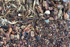 Mulch – The Key to a Healthy Garden